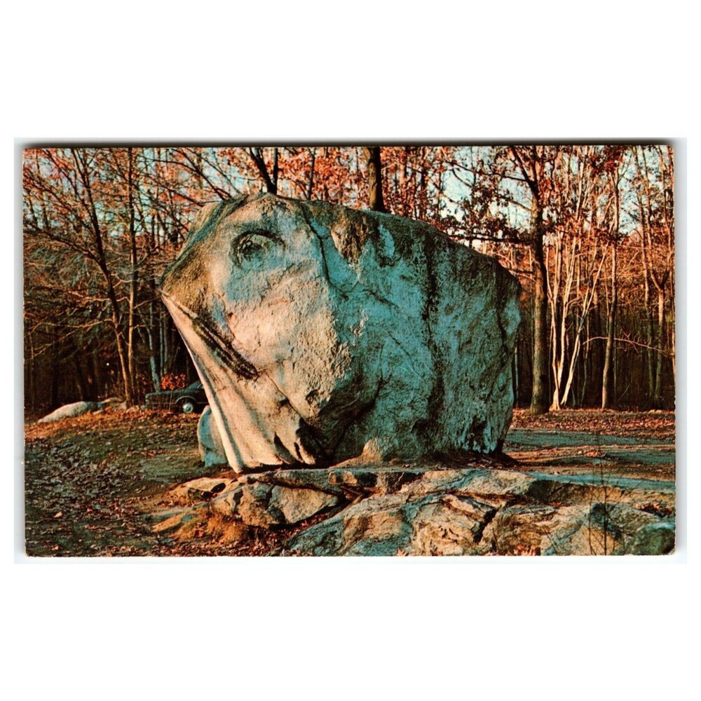 Frog Rock Connecticut US Route 44 Roadside Park Vintage Postcard NATCO Chrome